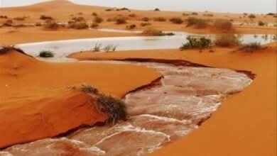أمطار على ثمان ولايات من البلاد