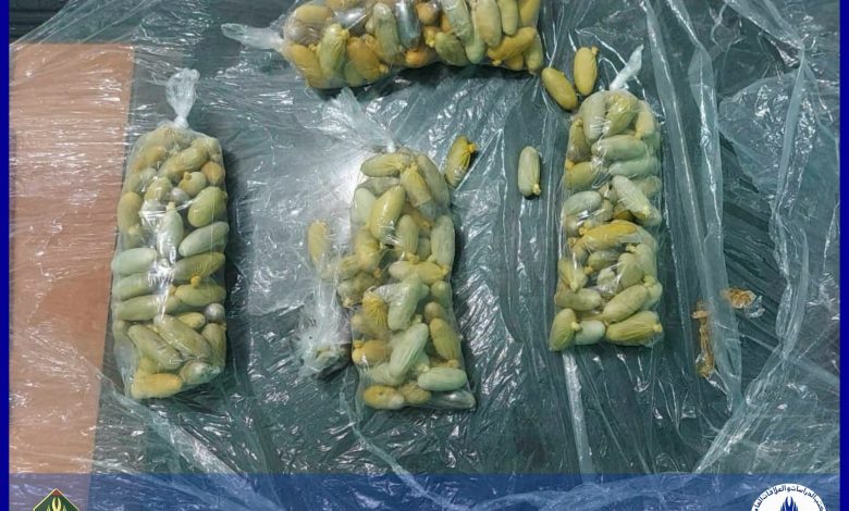 الدرك الوطني يضبط أكثر من كيلوغرام من المخدرات ويوقف أجنبياً عند مدخل نواذيبو