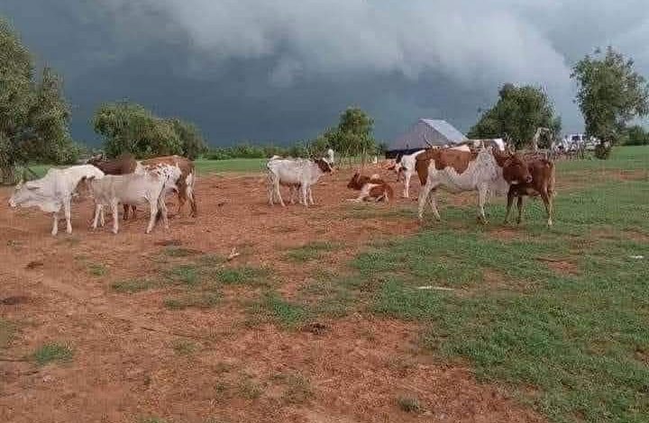 أمطار على ولايات الحوضين ولعصابة